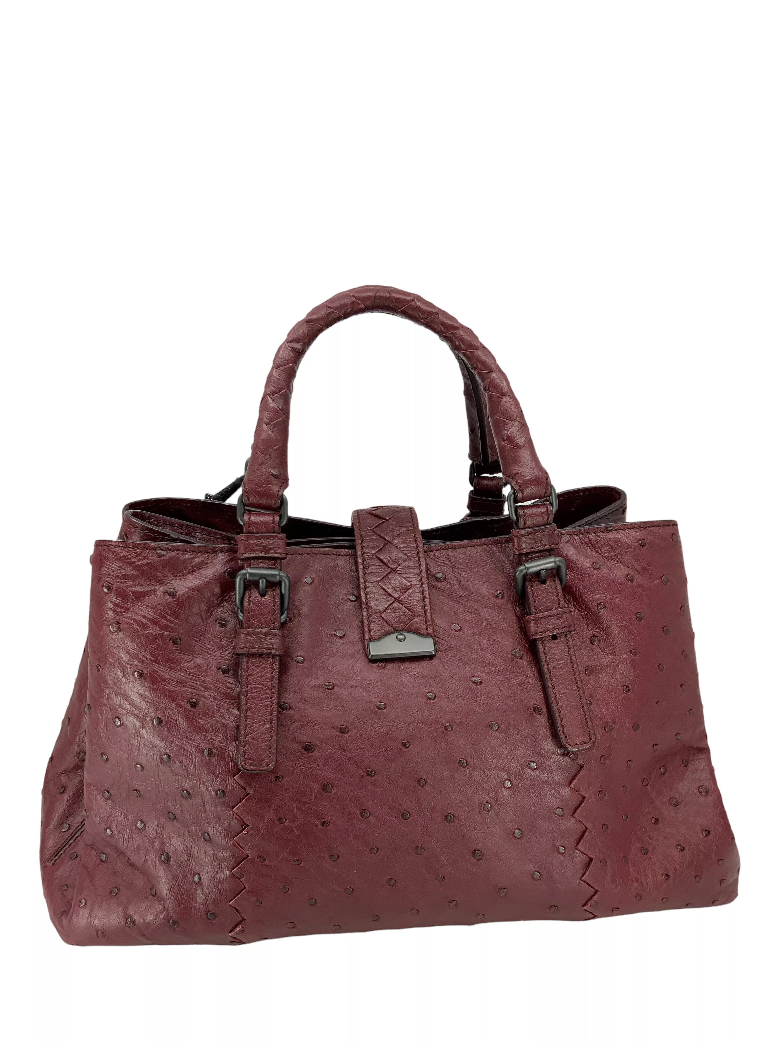 Bottega Veneta Ostrich Small Roma Bag NWT